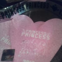 『PRINCESS　PRINCESS　TOUR　２０１２　再会』