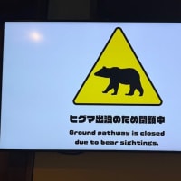 遅ればせながら今季初