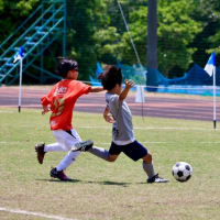 cambios cup  u10