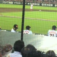 マツダスタジアムに行ってきました♪