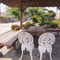 大仏と紫陽花