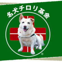 人と動物の絆