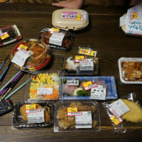 母の相続税の申告と納税が完了　　晩ご飯はスーパーの惣菜