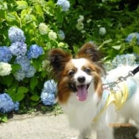 鶴見緑地公園＆月命日