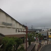 篠窪（しのくぼ）の隣町 龍生派窪寺様が「ノバラ」を生ける(2025/07/15）