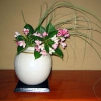 友人の庭のお花のご紹介（再）
