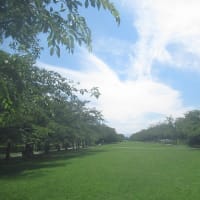 心地良い風に吹かれて糸の切れた風船のように