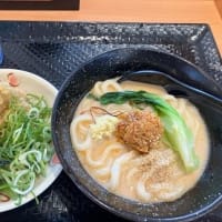 冷やし担々うどん