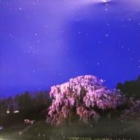 ★4月も終わり★