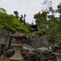 ４月２５日連休前の京都３・翌日は滋賀のお寺巡り