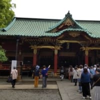 2024年4月30日根津神社つつじ祭り最終日