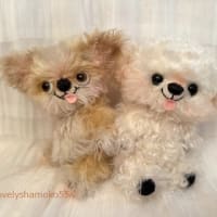 ピッピちゃん＆とっとちゃん…ｵﾐｵｸﾘｼﾞｭﾝﾋﾞﾁｭｳ~