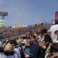 5/25　5/27　わたしの交流戦