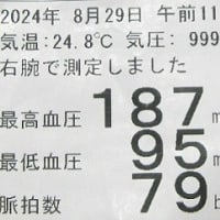 高崎まつり見物二日目(改)　R- 6- 8-25