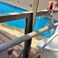 GWは茨城へ(アクアワールド水族館②)