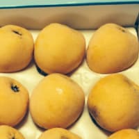 いつも有難うございます