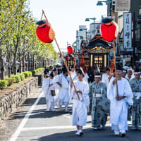 神幸祭【鶴岡八幡宮】皆さんの笑顔と秋空が印象的な鎌倉時間でした