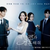 韓国ドラマ「私の夫と結婚して」あらすじと感想、パク・ミニョンの反撃