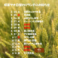 5/17～6/6日替わりランチのお知らせ