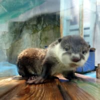 お持ち帰りでお願いします
