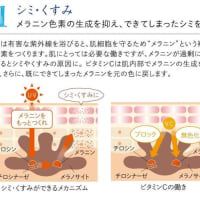 🌬️🏝️🌍　　 アーベル賞　  :　  数学　の　ノーベル賞、　　柏原正樹　教授　に🌙 　:　   日本医学　;    和方❗　;      三石分子栄養学　➕　藤川徳美院長系　;     代謝医学🪐