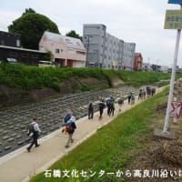 ６月例会「久留米の花菖蒲を求めて」（福岡県久留米市）