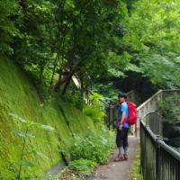 満喫！夏の高尾山