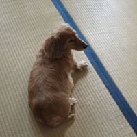 誕生日