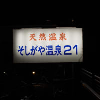 そしがや温泉21 東京の温泉