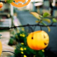 ハロウィンのかぼちゃ