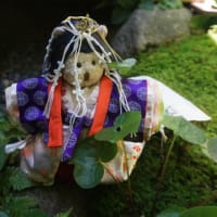 5月15日の「葵祭」。ミモロ、憧れの斎王代の装束を準備。当日に備えます。