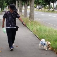 ホッと一息