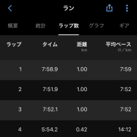 【ダイエット】朝ラン休み、夜ラン3km走れた！