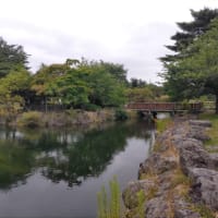 JRヘルシーウォーキング肌寒い恵庭を歩く