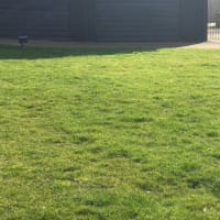 炎天下での公園遊び