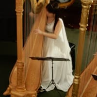 信州長期滞在の旅　第五日目　ハープの生演奏　2019.10.18　「26」　cafe  de  harp  白馬樅ノ木