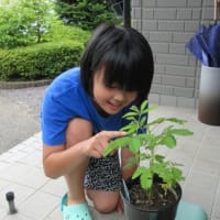 夏休みあれこれ