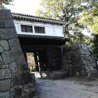 紀州路日帰りの旅(最終回)