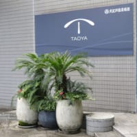 ＴＡＯＹＡ志摩その①