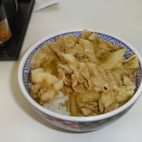 吉野屋で豚丼