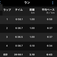 ブリックラン（バイク２０ｋｍ + ラン３ｋｍ）