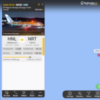 ホヌルルにホヌが３機揃った！