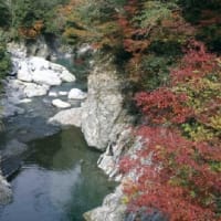 四国三郎の郷　徳島県　人気の観光スポット