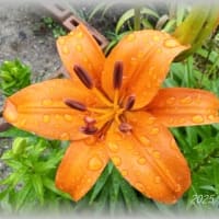 梅雨時ですね～