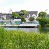 水辺のシンフォニー