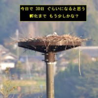 今日の『お写ん歩』終了！！（2025年4月16日）
