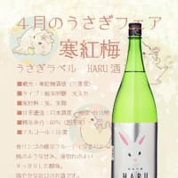 寒紅梅