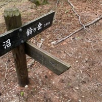 山登り