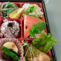 夏のお弁当