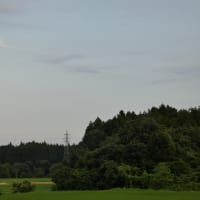 【麻生・岸田氏】石破後の政局会談？森山幹事長の工作大失敗で憲政史上初の解任劇を許す！( ｀ー´)ノ